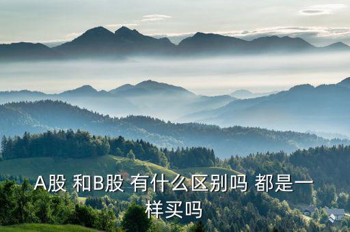 A股 和B股 有什么區別嗎 都是一樣買嗎