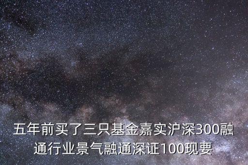 五年前買了三只基金嘉實滬深300融通行業景氣融通深證100現要