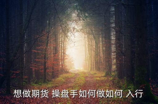 怎么入行做私募操盤手,職業操盤手的職業道路