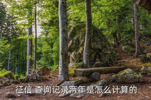 征信查詢次數怎么算,2020年的理財攻略