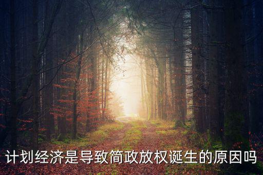 計劃經(jīng)濟是導致簡政放權(quán)誕生的原因嗎