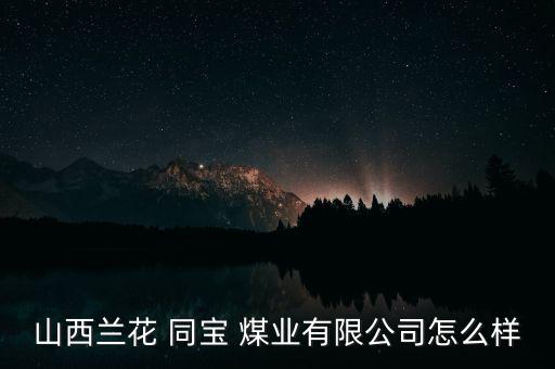 山西蘭花 同寶 煤業有限公司怎么樣