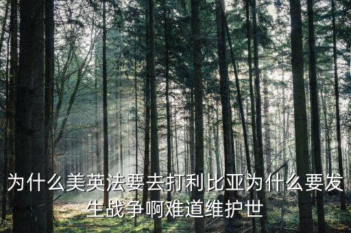 為什么美英法要去打利比亞為什么要發生戰爭啊難道維護世