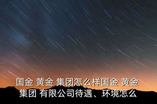 國金 黃金 集團怎么樣國金 黃金 集團 有限公司待遇、環境怎么