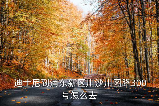  迪士尼到浦東新區川沙川圖路300號怎么去