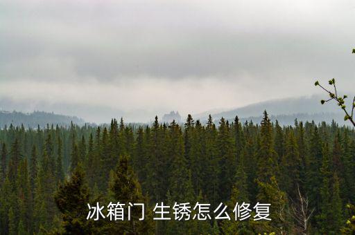  冰箱門 生銹怎么修復