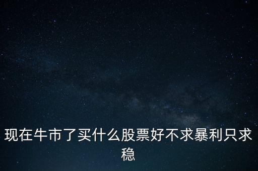 牛市買什么股，現在牛市了買什么股票好不求暴利只求穩