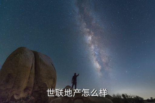 世聯地產怎么樣