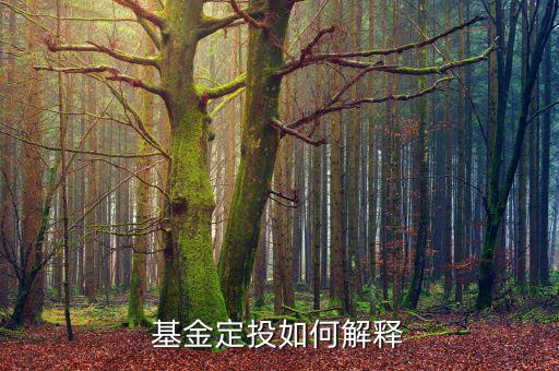 定投是什么，什么是定投基金