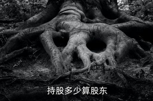 持股數量怎么填,向股東以外的人轉讓股權須獲股東過半數同意