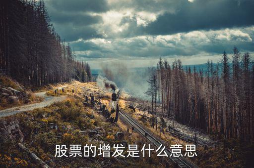 股票的增發是什么意思