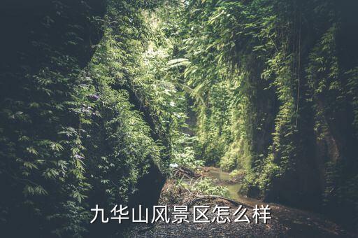 九華山旅游學校怎么樣,池州職業技術學院前身是池州市農業學校