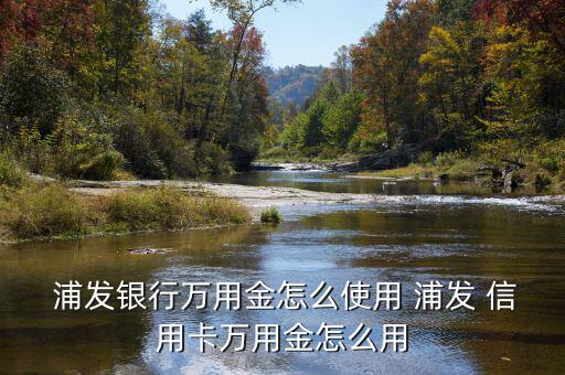 浦發信用卡美元帳戶怎么使用,如何使用萬能銀行基金?