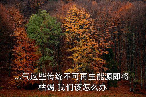 ...氣這些傳統不可再生能源即將 枯竭,我們該怎么辦