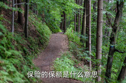 保險保額是什么意思，保險里的保額是啥意思
