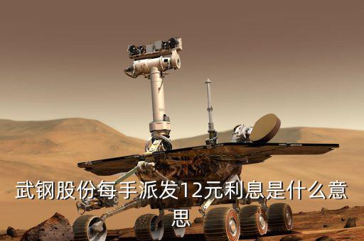 每手派發利息是什么意思，武鋼股份每手派發12元利息是什么意思