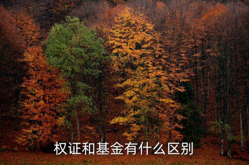 權證和基金有什么區別