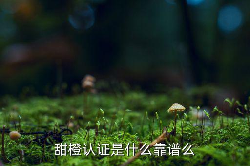 甜橙金融公司是什么，便捷的網(wǎng)貸理財企業(yè)是什么