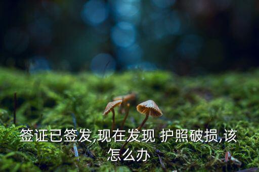 護照污損怎么辦,有下列情形之一的護照持有人可照規定使用