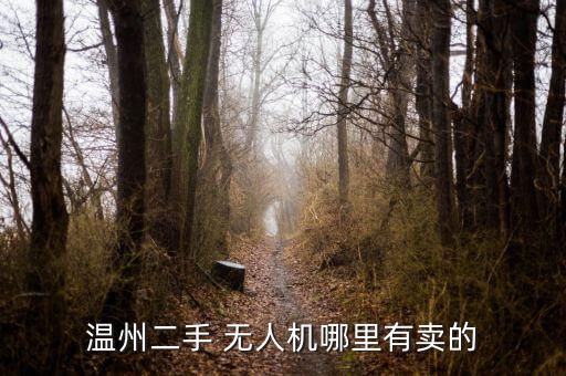 無人機淘寶賣還怎么代理,國產無人機淘寶上架銷售