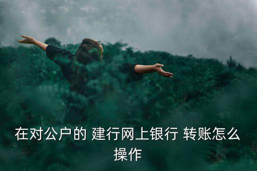 建行給建行怎么轉賬,同行轉賬網銀轉賬須知