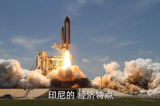  印尼的 經濟特點