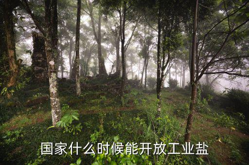 國家什么時候能開放工業鹽