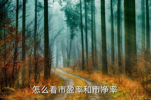 K線圖怎么看往年的市盈市凈,市盈率和市凈率的區別