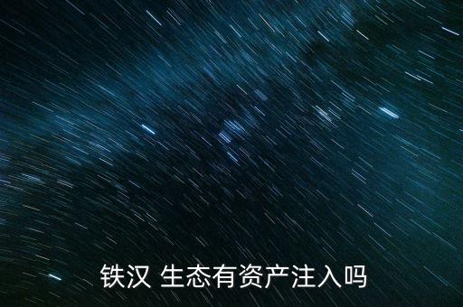  鐵漢 生態有資產注入嗎