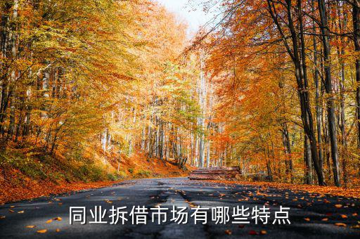 同業拆借市場有哪些特點