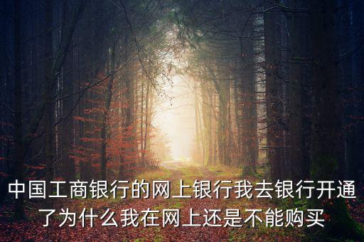 中國工商銀行的網上銀行我去銀行開通了為什么我在網上還是不能購買