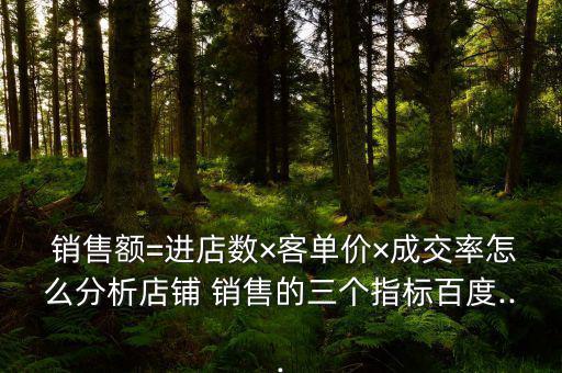  銷售額=進店數×客單價×成交率怎么分析店鋪 銷售的三個指標百度...