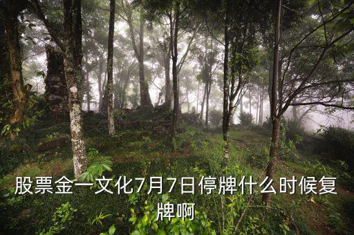 金一文化什么時候復(fù)牌，股票金一文化7月7日停牌什么時候復(fù)牌啊