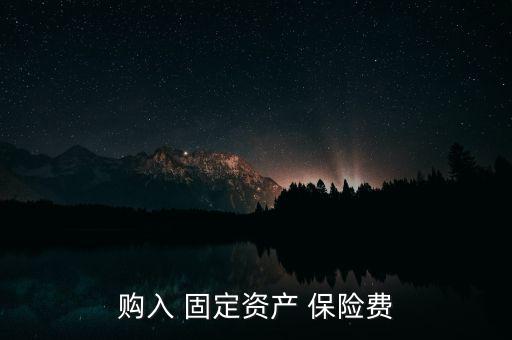 購入 固定資產 保險費