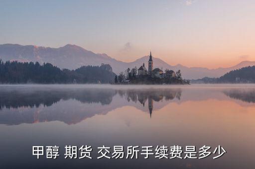  甲醇 期貨 交易所手續費是多少