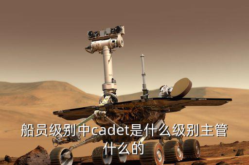 中船總經理什么級別，中國船舶總公司總經理啥級別