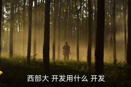  西部大 開發用什么 開發