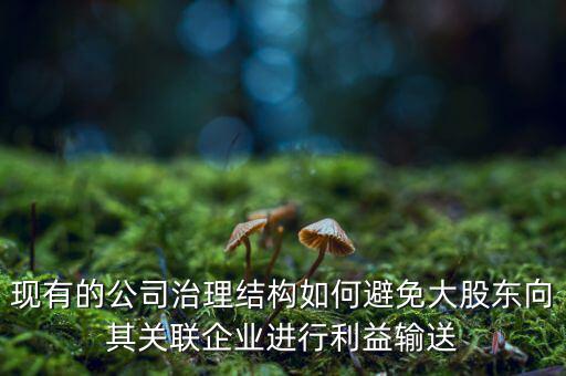 現有的公司治理結構如何避免大股東向其關聯企業進行利益輸送