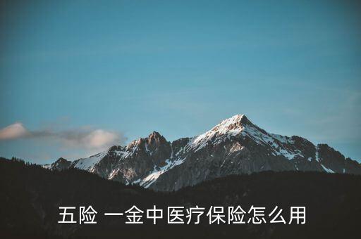  五險 一金中醫療保險怎么用
