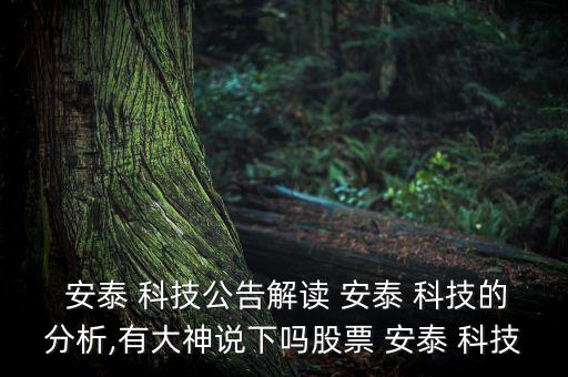 安泰科技涿州分公司怎么樣,新材料領域的優質企業