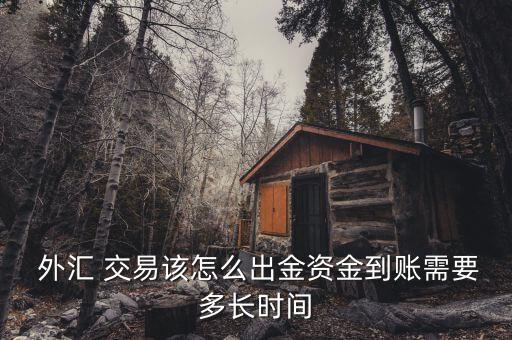 外匯交易后怎么取款,如何在網上理財?