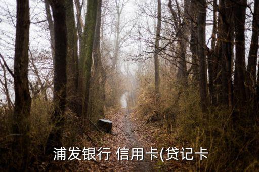  浦發銀行 信用卡(貸記卡