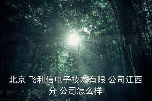 飛利信公司怎么樣,飛利信電子科技有限公司江西分公司正營業中