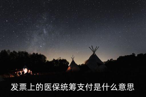 發票上的醫保統籌支付是什么意思