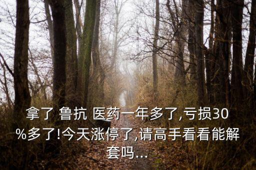 拿了 魯抗 醫藥一年多了,虧損30%多了!今天漲停了,請高手看看能解套嗎...