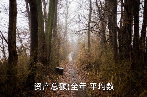  資產總額(全年 平均數