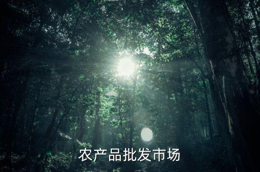 什么是公益性農產品批發市場，談談如何加強和完善公益性農貿市場建設