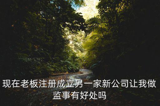 上市公司做監事有什么好處，現在老板注冊成立另一家新公司讓我做監事有好處嗎