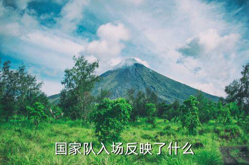 國(guó)家隊(duì)進(jìn)場(chǎng)是什么意思，國(guó)家隊(duì)入場(chǎng)反映了什么