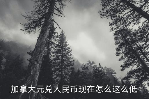 加元兌換人民幣為什么那么低，加拿大元兌人民幣怎么這么低